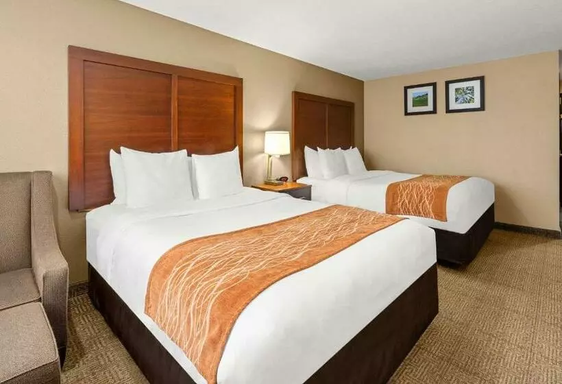 身障者適用スタンダードルーム, Comfort Inn & Suites Beaverton   Portland West
