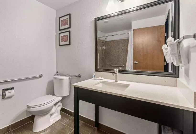 身障者適用スタンダードルーム, Comfort Inn & Suites Beaverton   Portland West