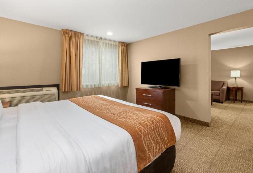 キングサイズベッドのスイートルーム, Comfort Inn & Suites Beaverton   Portland West