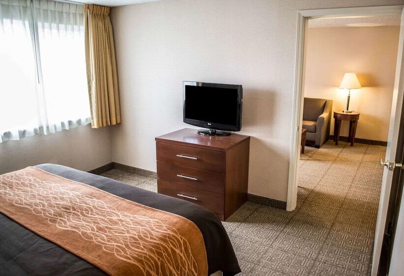 Люкс Кровать Кинг, Comfort Inn & Suites Beaverton   Portland West