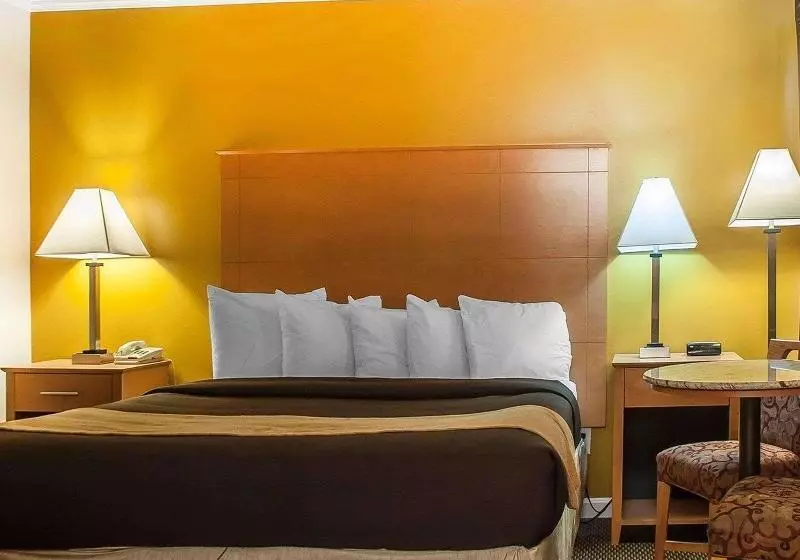 اتاق استاندارد با تخت بزرگ, Econo Lodge At The Falls North