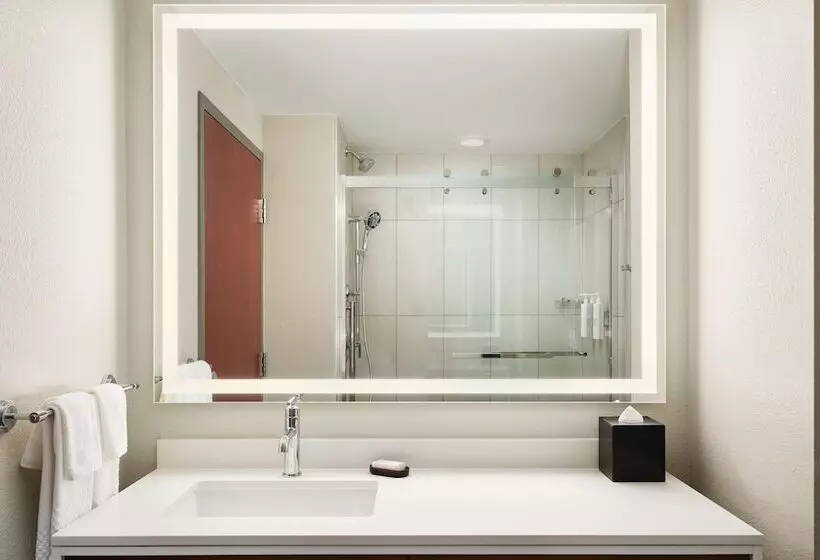 身障者適用スイートルーム, Embassy Suites By Hilton Hampton Convention Center