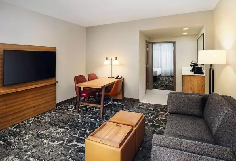 身障者適用スイートルーム, Embassy Suites By Hilton Hampton Convention Center