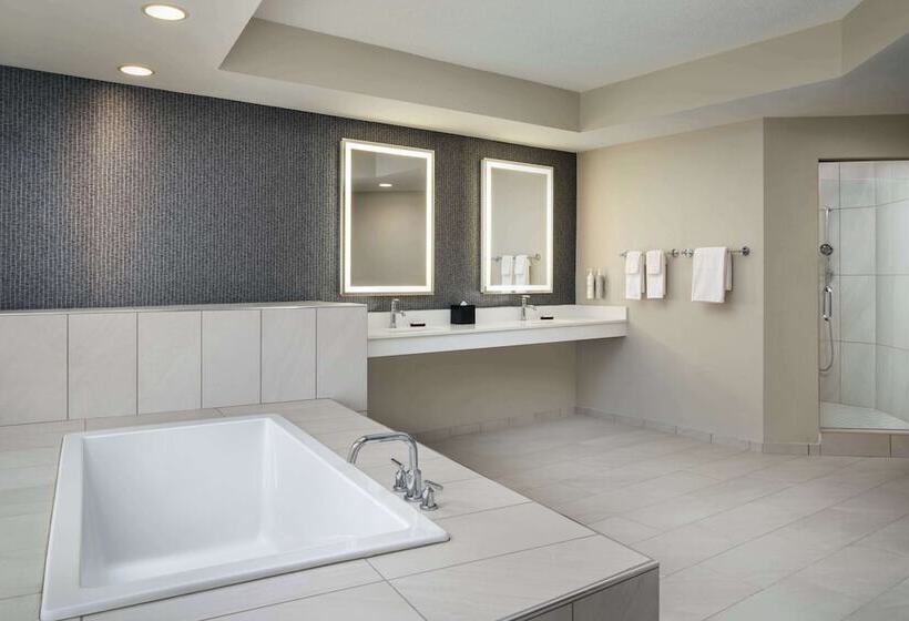 总统套房, Embassy Suites By Hilton Hampton Convention Center