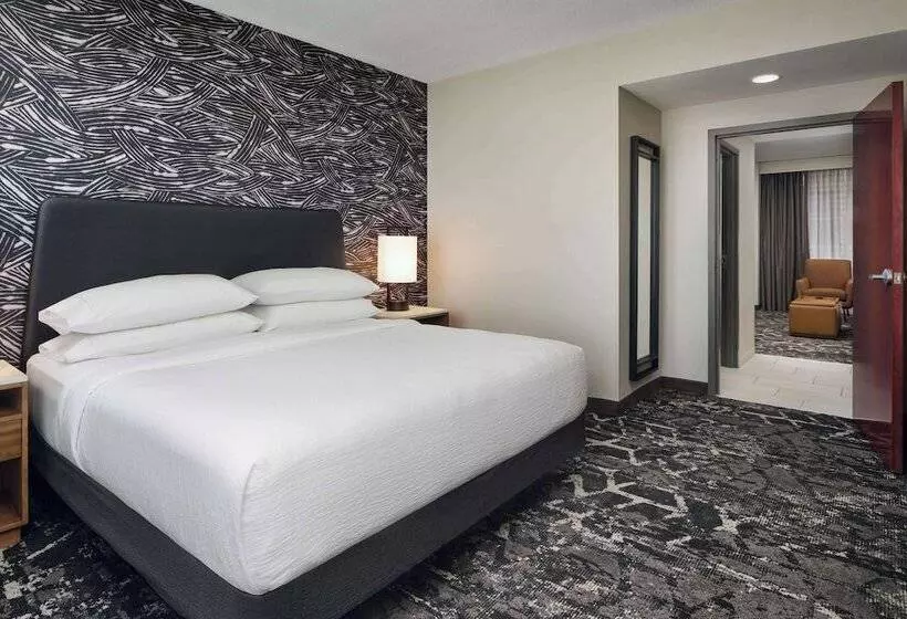 身障者適用スイートルーム, Embassy Suites By Hilton Hampton Convention Center