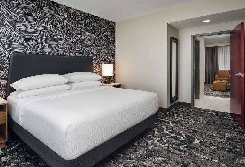 套房, Embassy Suites By Hilton Hampton Convention Center