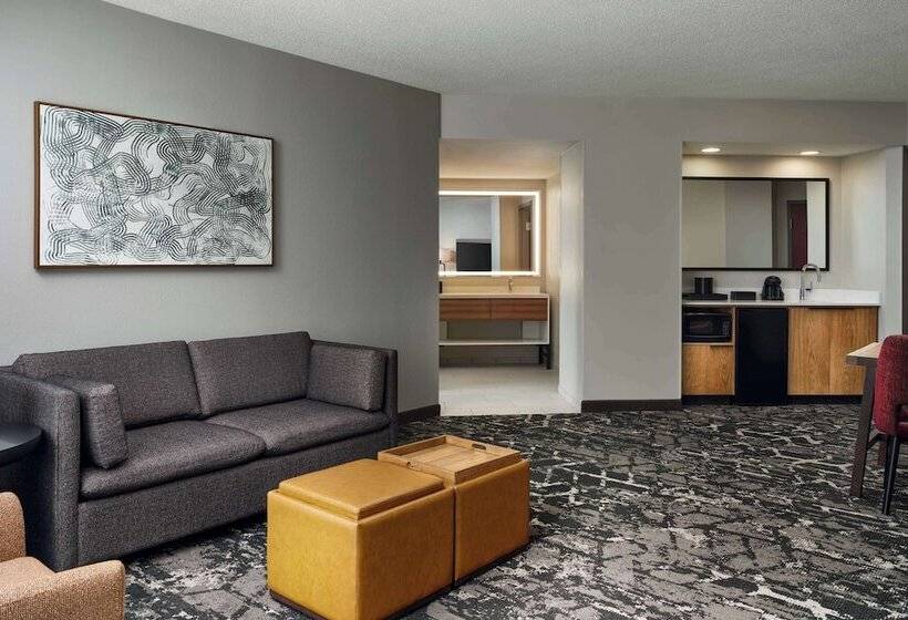 适合残疾人士使用的套间, Embassy Suites By Hilton Hampton Convention Center