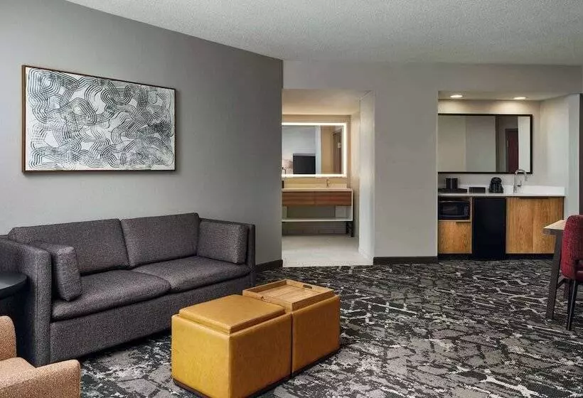 身障者適用スイートルーム, Embassy Suites By Hilton Hampton Convention Center