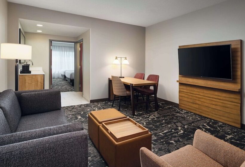 高级套房, Embassy Suites By Hilton Hampton Convention Center