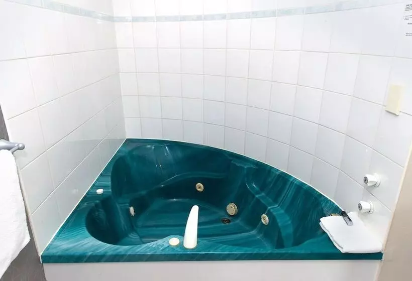 スタンダードスタジオ, Geneva Motor Lodge