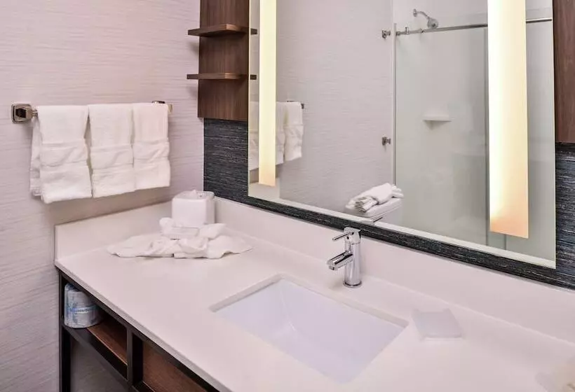 اتاق استاندارد, Hilton Garden Inn Salt Lake City Downtown