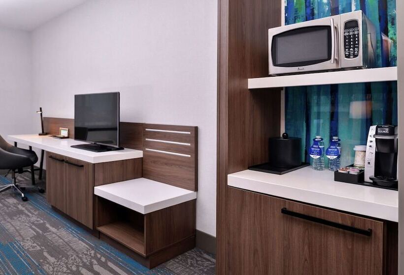 Номер Стандарт, Hilton Garden Inn Salt Lake City Downtown