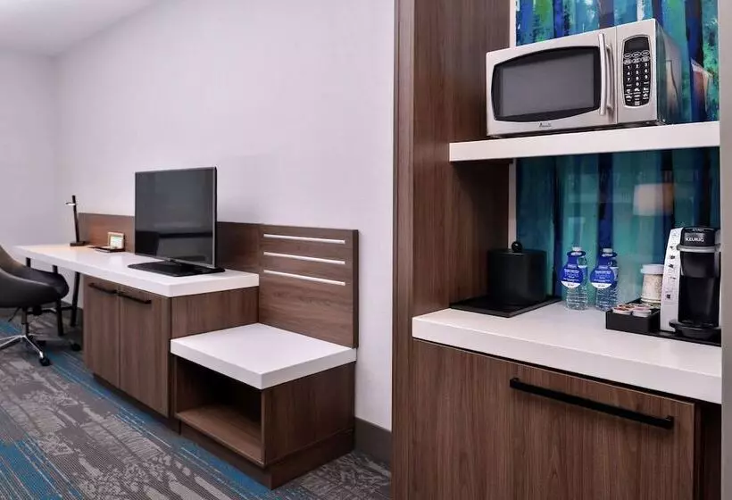 اتاق استاندارد, Hilton Garden Inn Salt Lake City Downtown