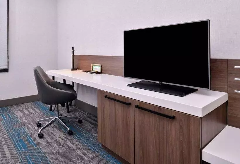 اتاق استاندارد, Hilton Garden Inn Salt Lake City Downtown