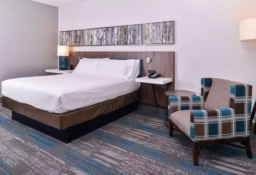 اتاق استاندارد, Hilton Garden Inn Salt Lake City Downtown
