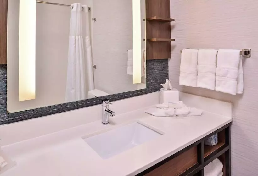 اتاق استاندارد برای معلولان, Hilton Garden Inn Salt Lake City Downtown