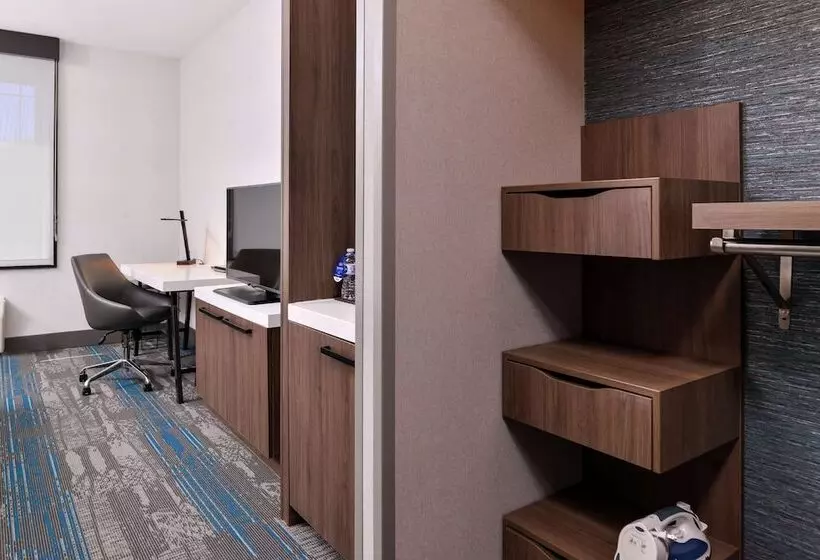 اتاق استاندارد برای معلولان, Hilton Garden Inn Salt Lake City Downtown