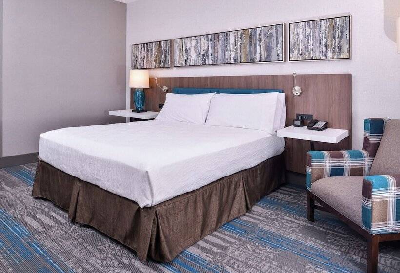 غرفة قياسية لذوى الاحتياجات الخاصة, Hilton Garden Inn Salt Lake City Downtown
