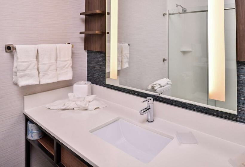 Номер Стандарт Адаптированный для Инвалидов, Hilton Garden Inn Salt Lake City Downtown