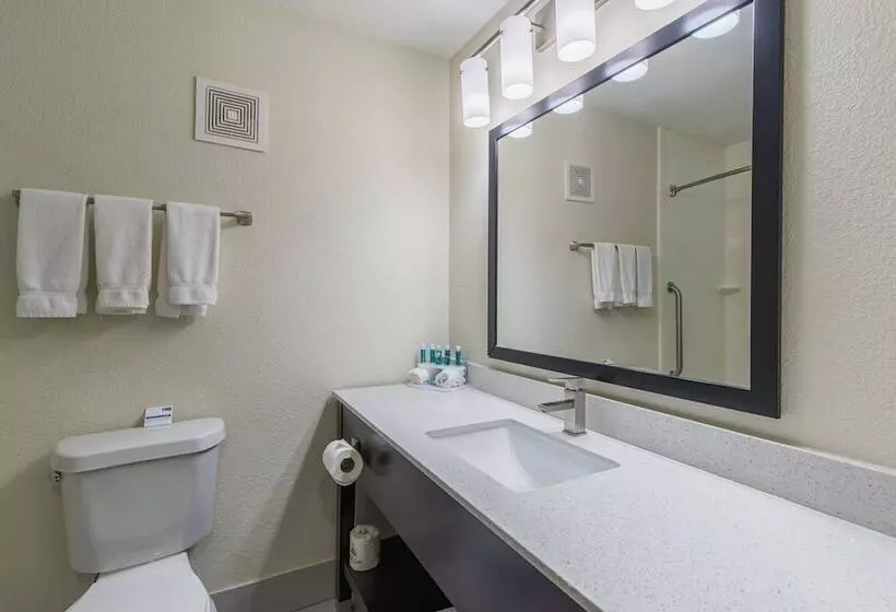 スタンダードルーム, Holiday Inn Express Dandridge By Ihg