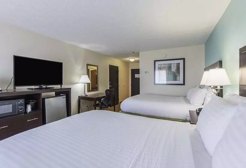 スタンダードルーム, Holiday Inn Express Dandridge By Ihg