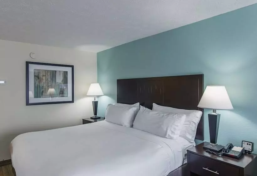 スタンダードルーム, Holiday Inn Express Dandridge By Ihg