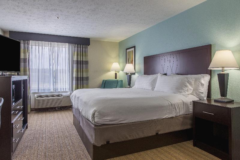 带大床的套房, Holiday Inn Express Dandridge By Ihg