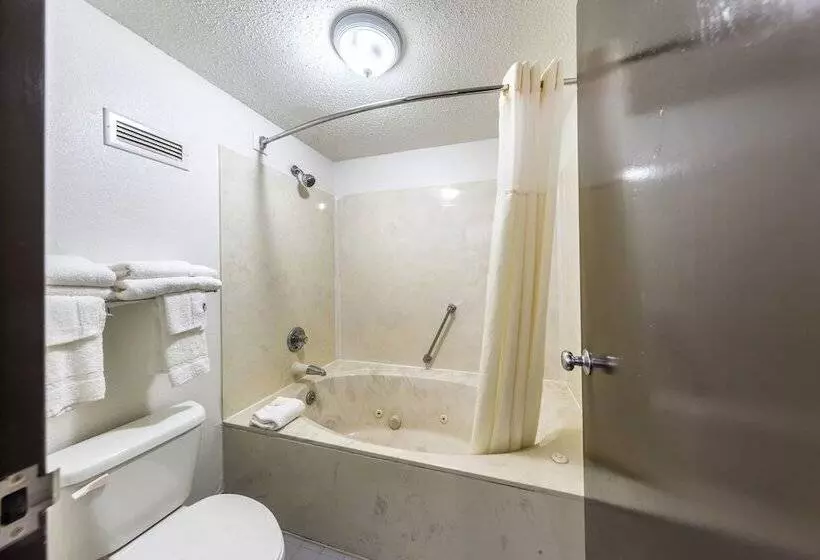 Standard-huone 2 Parivuodetta, Quality Inn Simpsonville Greenville