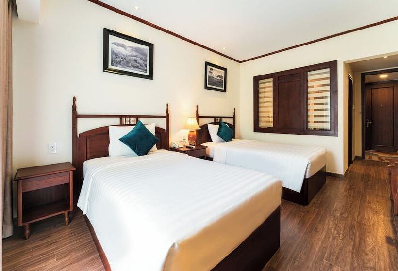 اتاق سوپریور, Tran Vien Dong