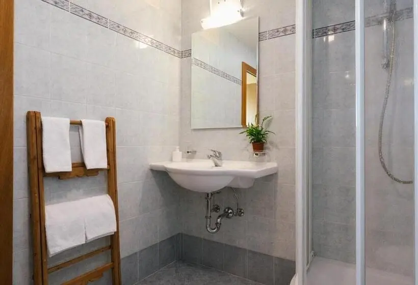 اتاق استاندارد با سرویس بهداشتی مشترک, Garni Fany