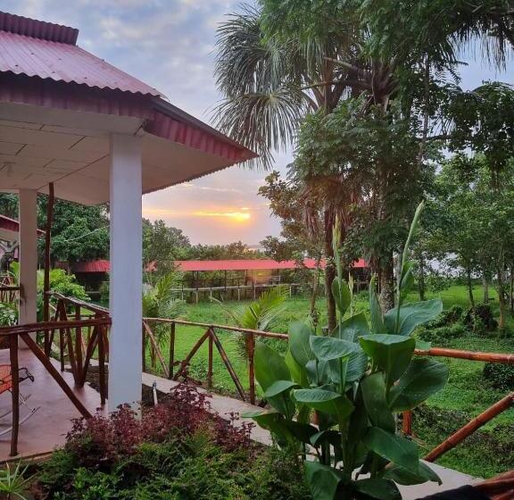 بنجلو قياسى, Milia Amazon Lodge