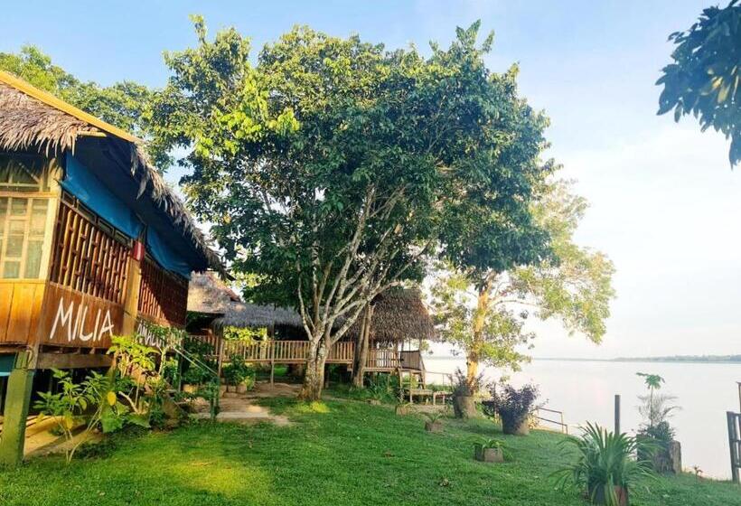 패밀리 방갈로, Milia Amazon Lodge