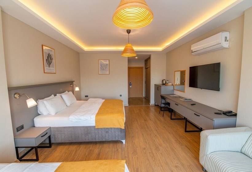 豪华三人间, Belci City House