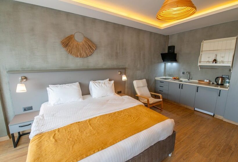 豪华工作室, Belci City House