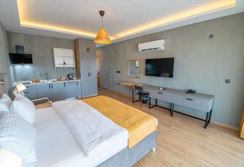 豪华工作室, Belci City House