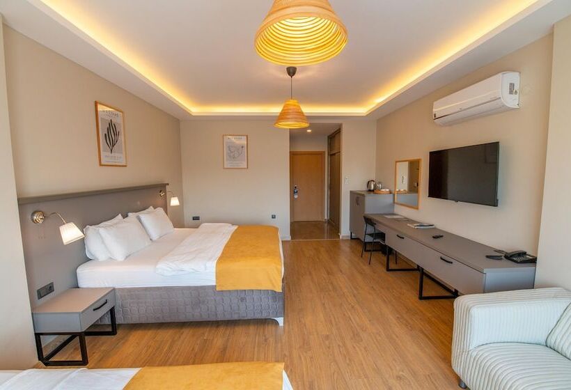 豪华三人间, Belci City House