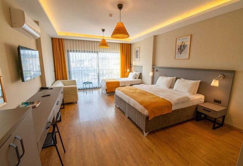 豪华三人间, Belci City House