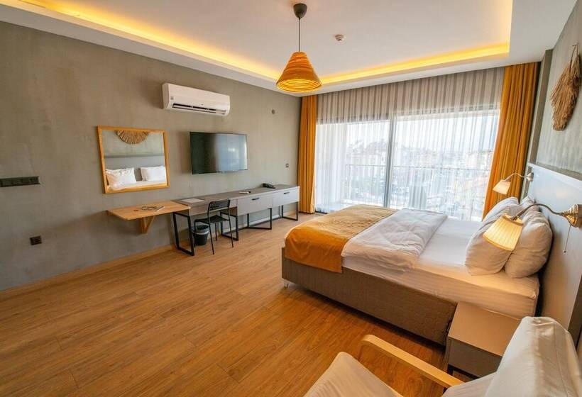 豪华工作室, Belci City House