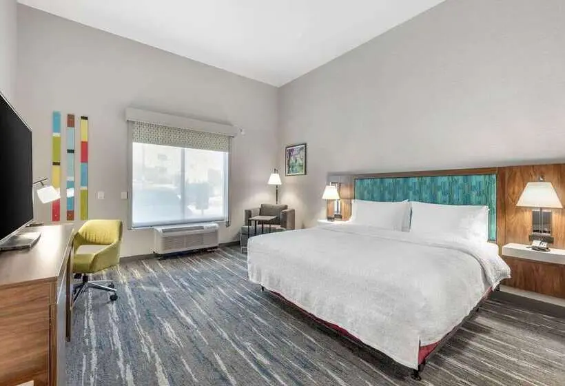 身障者適用キングサイズベッドルーム, Hampton Inn Blue Ridge
