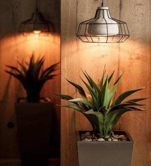 جناح جونيور, Schuster Boarding House