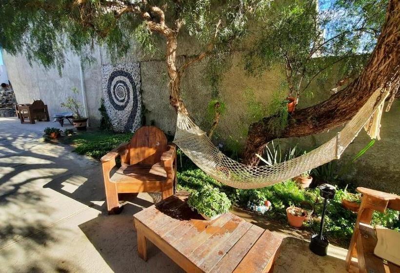 Standaard Vierpersoonskamer, Rada Tilly Apart