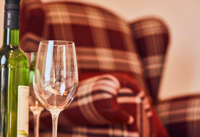 Номер Стандарт Вид на Озеро, Hornstein Weingut, Vinothek & Gastronomie