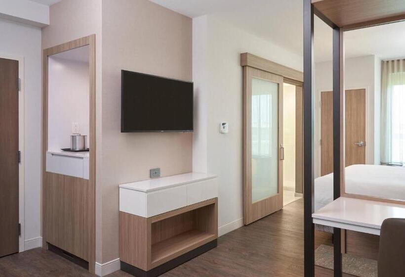 جناح سرير كينج, Springhill Suites By Marriott Orlando Lake Nona