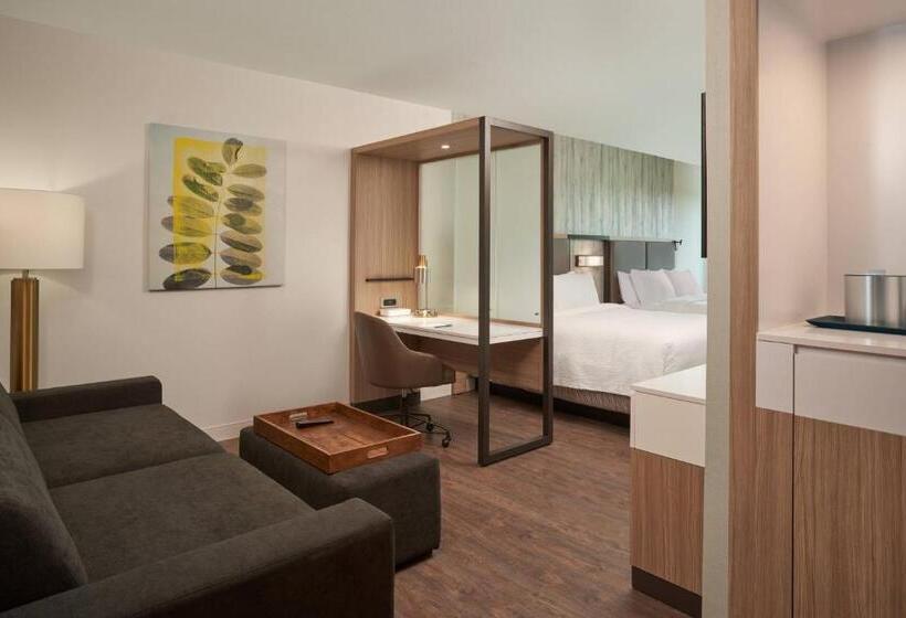 Люкс, Springhill Suites By Marriott Orlando Lake Nona
