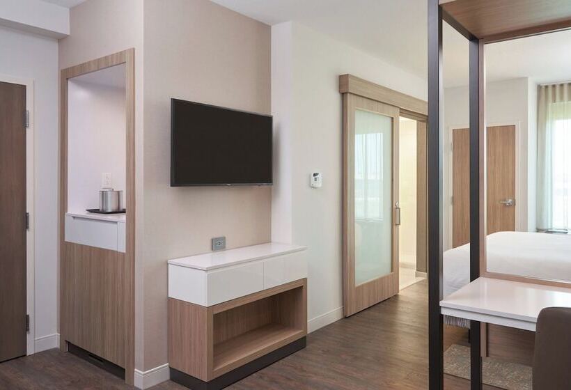 Люкс, Springhill Suites By Marriott Orlando Lake Nona