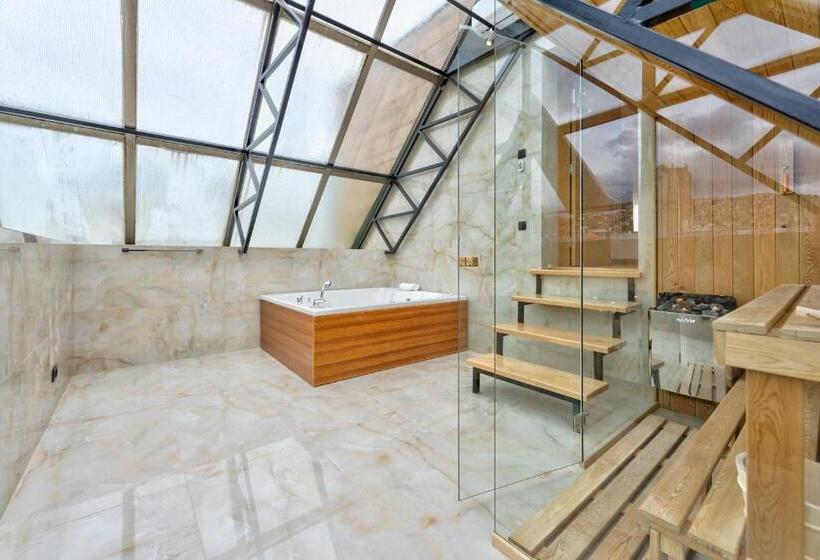 آپارتمان سوپریور 1 خوابه, Aria