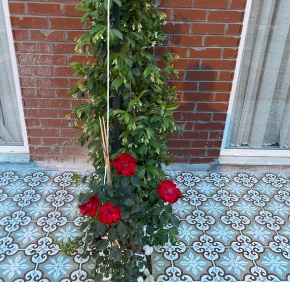 חדר סטנדרט, Ofuro World Hotel Spa