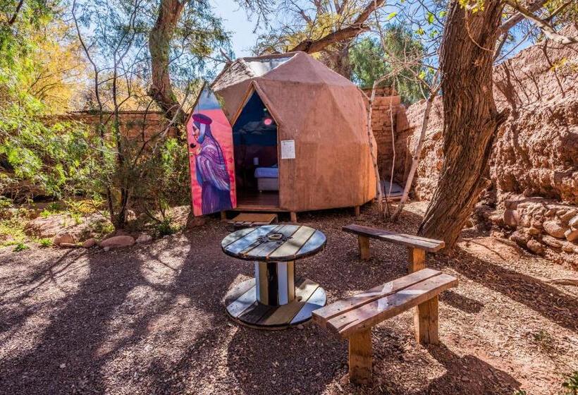 חדר סטנדרט, Casa Voyage Hostel