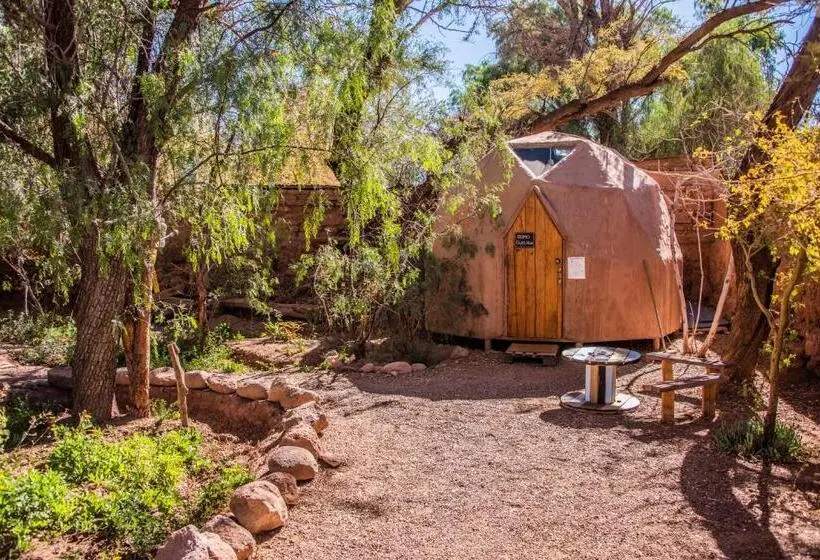 スタンダードルーム, Casa Voyage Hostel