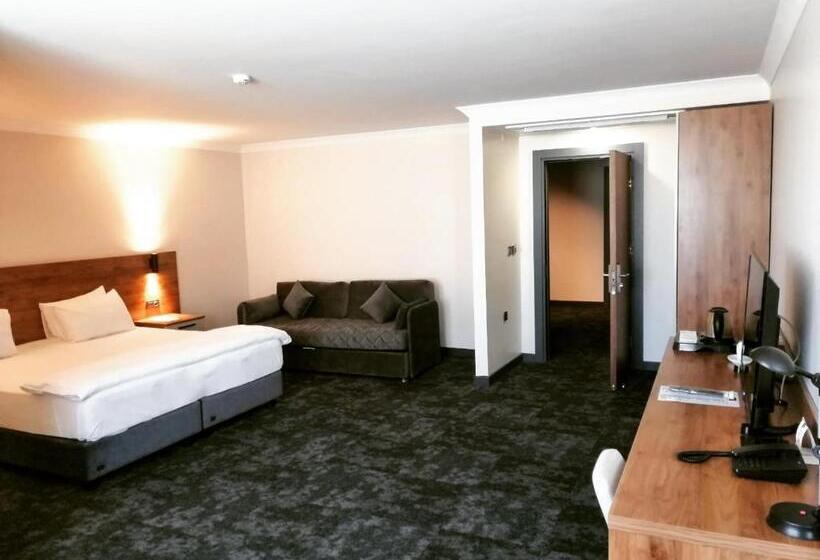 اتاق لوکس, Valent Otel Business